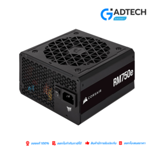 RM750e - 80 PLUS Gold Fully Modular ATX Power Supply (CP-9020248-NA)/7Y